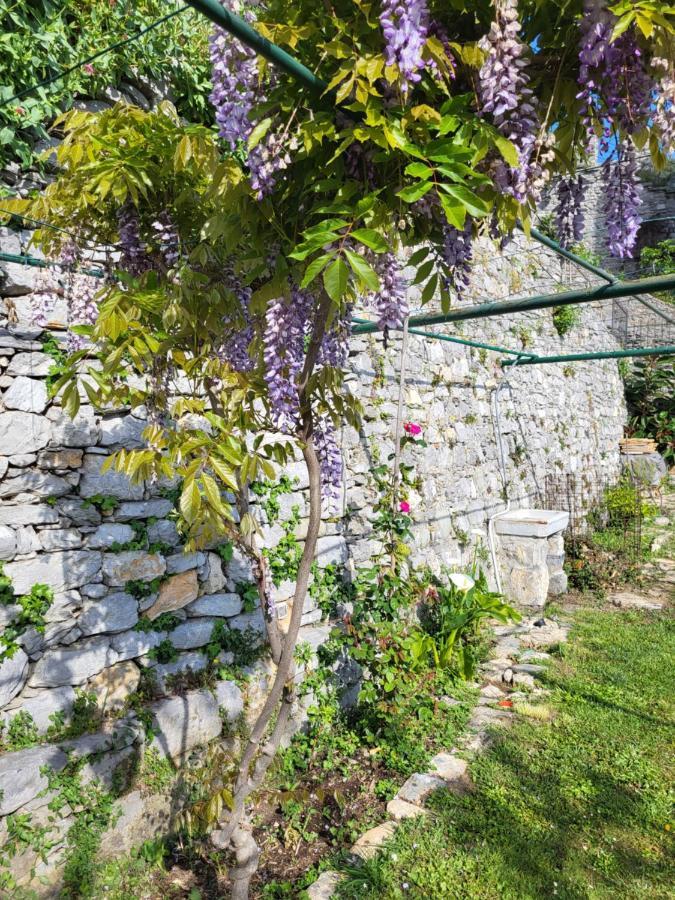 La Bouganvilla ポルトヴェーネレ エクステリア 写真