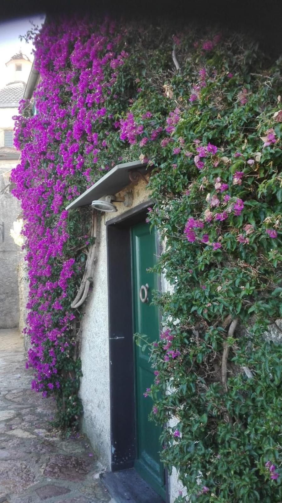 La Bouganvilla ポルトヴェーネレ エクステリア 写真